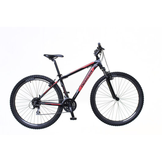 Neuzer Jumbo Sport Férfi Mountain bike 29" 2020 NE1821231025
